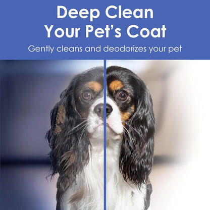 AKC Coconut-Scented Pet Bathing Gloves – 6-Pack Deodorizing & Cleaning Wipes for Dogs & Cats – Gentle, Hypoallergenic, No-Rinse Grooming Mitts for Sensitive Skin, Quick Cleanups & Travel