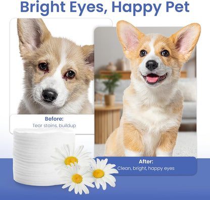 American Kennel Club Pet Eye Wipes for Dogs & Cats – Tear Stain Remover & Eye Discharge Cleaner – Hypoallergenic Grooming Wipes, 100 Count (Oatmeal Scent)