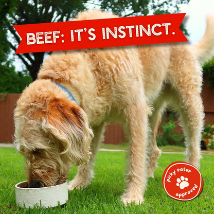 Beg & Barker Beef Dog Food Toppers (8 Ounce, Pack of 1) – 100% Made in USA Single Ingredient Meal Topper for Picky Eaters – Meal Enhancer with Whole Beef – Meal Mixers for Dogs, Human Grade