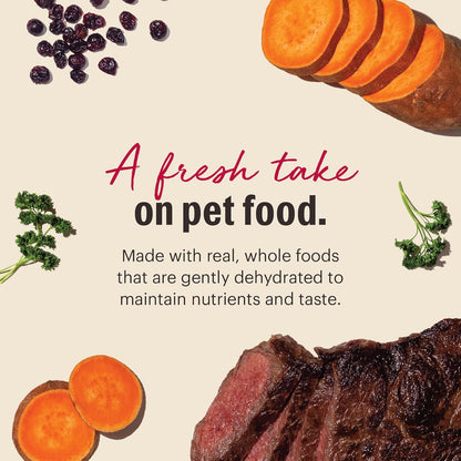 The Honest Kitchen Wholemade™ Dehydrated Grain Free Beef Dog Food, 2 lb Bag