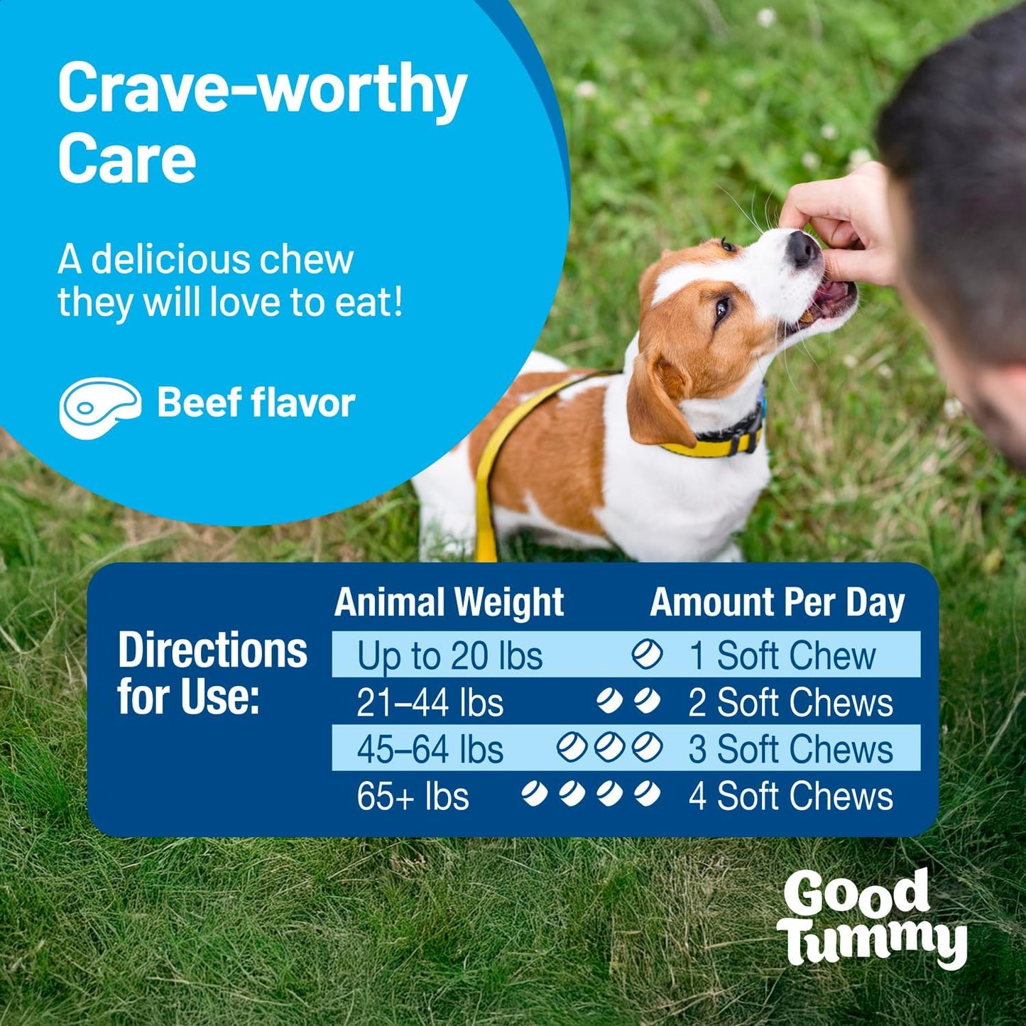 Good Tummy Probiotic Chews for Dogs – Supports Digestive Health, Controls Gas, Promotes Healthy Immune Function – Beef Flavor, 60 Soft Chews