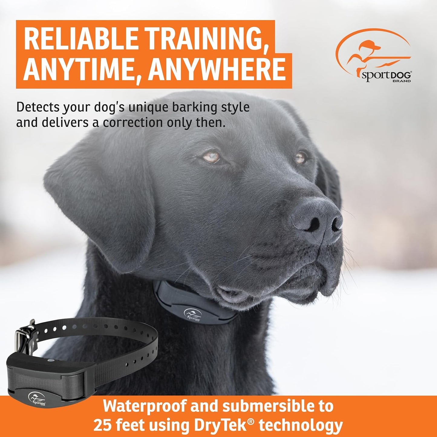 SportDOG Brand NoBark 10 Collar, Dog Bark Collars, Rechargeable, Programmable Bark Collar, Silent Partner Technology, Two Modes of Operation, Waterproof Collar (Black)