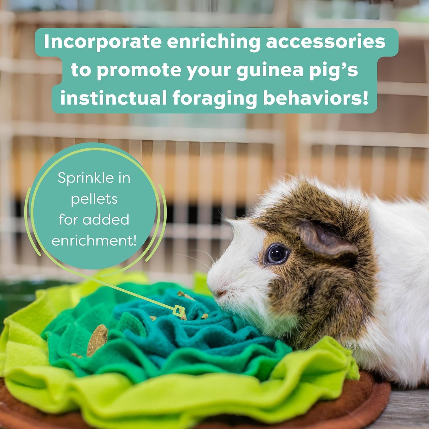 Oxbow Essentials Guinea Pig Food, Adult Guinea Pig, Made with Oxbow Timothy Hay, Pet Food Pellets with Vitamin C, Small Animal Pet Products, Made in USA, High Fiber, 5 lb. bag