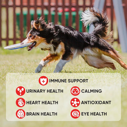 Dog Multivitamin Soft Chews – 10-in-1 Complete Wellness for Joints, Skin & Digestion