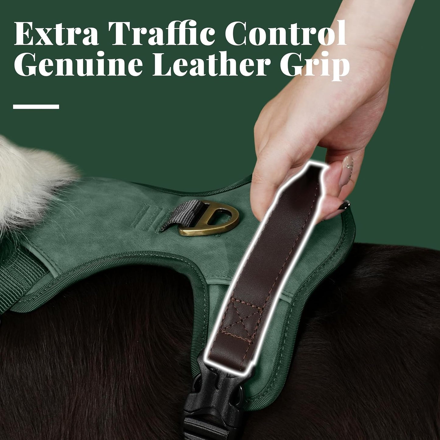 No Pull Dog Harness Small Sized Dog,Stylish PU Leather Vest with Easy Control Handle,No Choke Front Clip with 2 Metal Leash Clips,Reflective & Adjustable for Walking,Green,Chest 19-24"