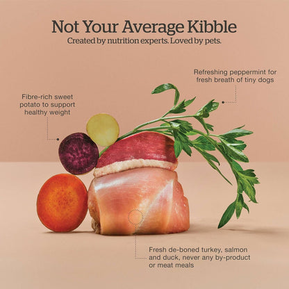 Now Fresh Grain-Free Small Breed Senior Dry Dog Food with Turkey, Salmon & Duck, Premium Kibble Made with Real Meat & Fish, Chicken-Free, Added Glucosamine & Chondroitin for Healthy Joints, 3.5 lb Bag