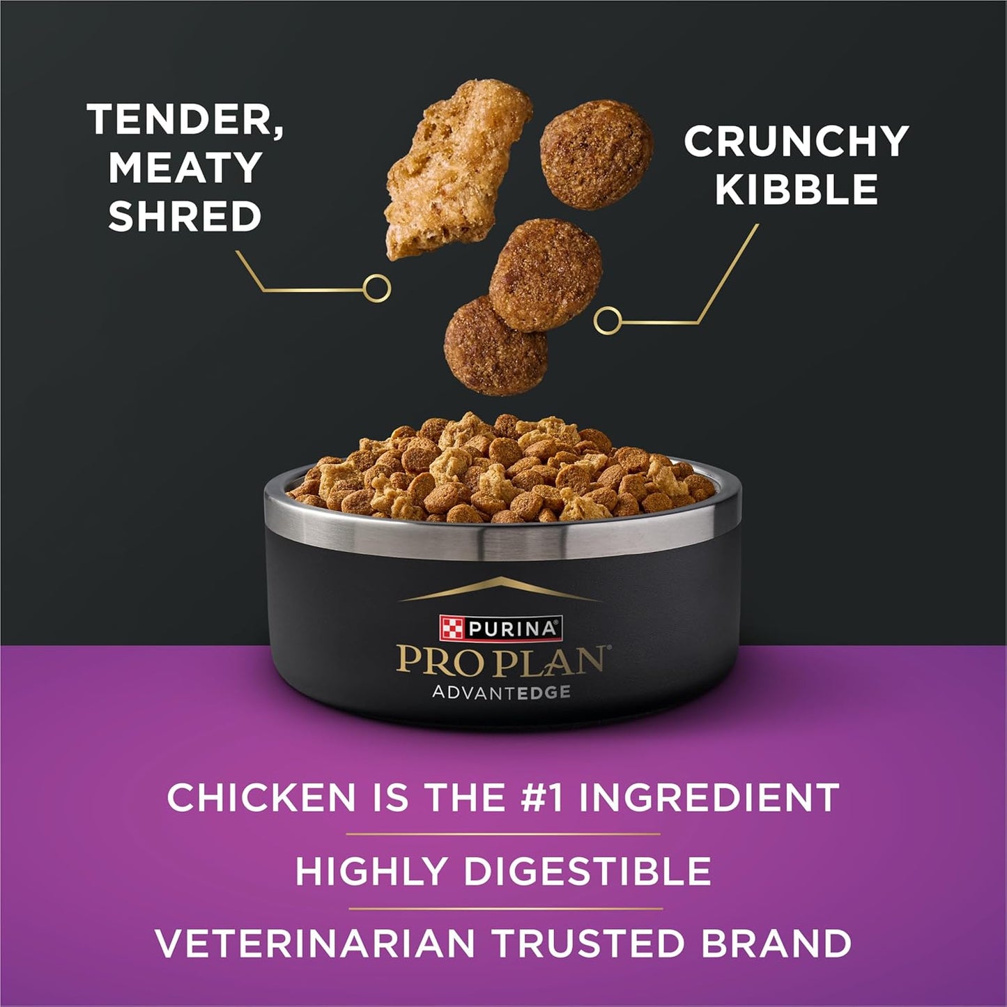Purina Pro Plan AdvantEDGE Senior Support Plus Shredded Blend Chicken and Rice Formula Dry Dog Food - 22 lb Bag
