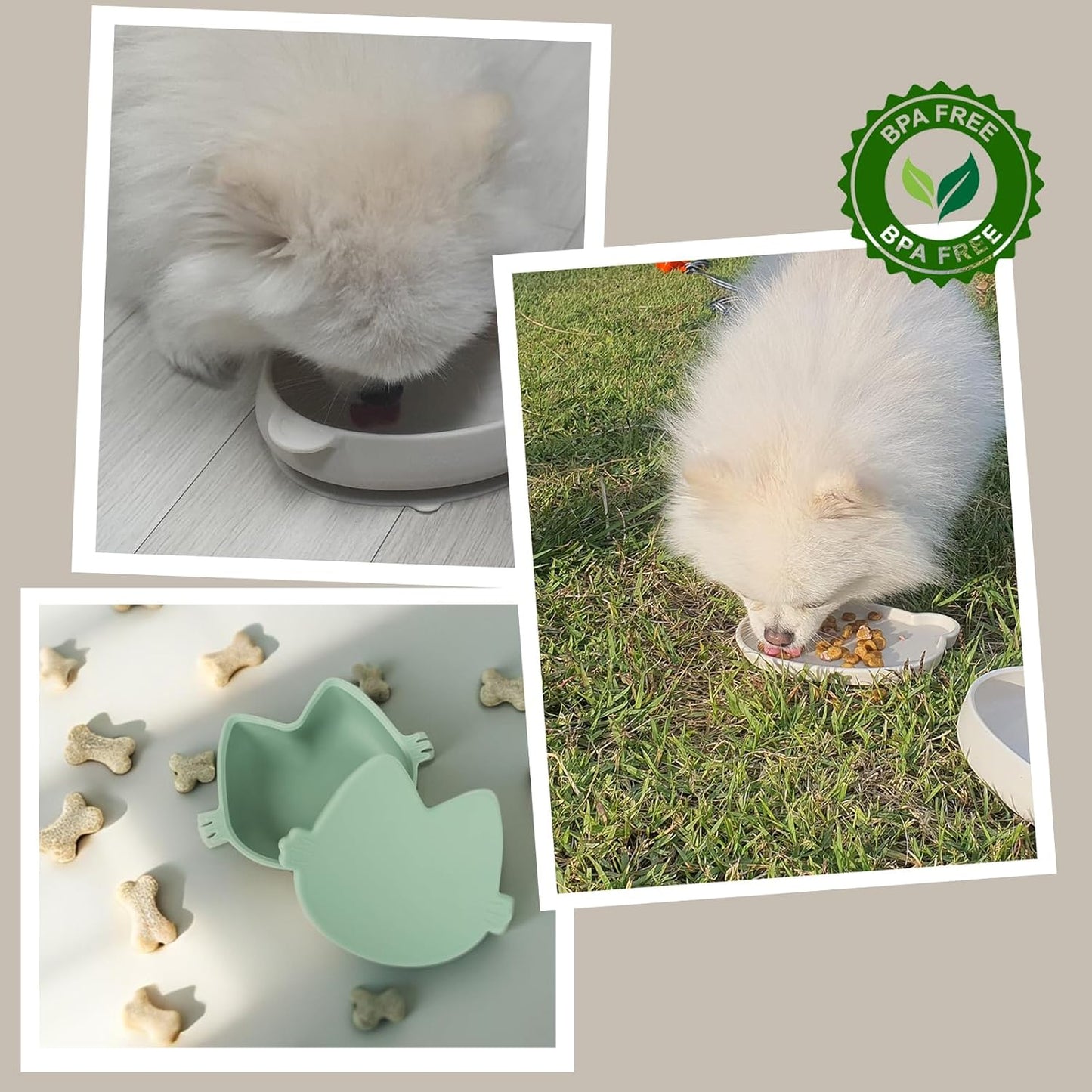 Platinum Silicone Dino Plate Set, Wellbeing Pet Bowl, Premium, Odorless, BPA-Free, Food-Grade, Non-Slip, Microwave & Dishwasher Safe, Sensitive Stomach, Eco-Friendly Travel Bowl (Cream)