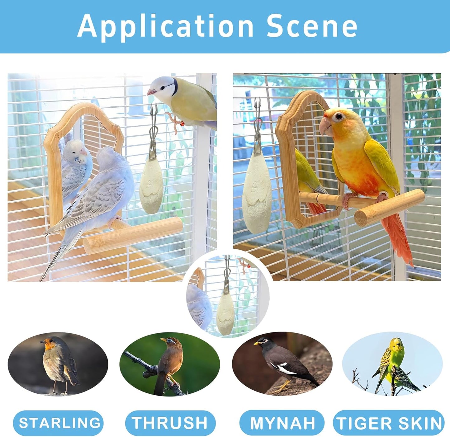 Jmxu's 3.5"-4" Cuttlebone for Birds Parakeets, Cuddle Bone with Metal Clip, Cuttlefish Bone for Sharp Beaks, Natural Birds Calcium for Parrots Cockatiels Tortoises, 4 Pcs