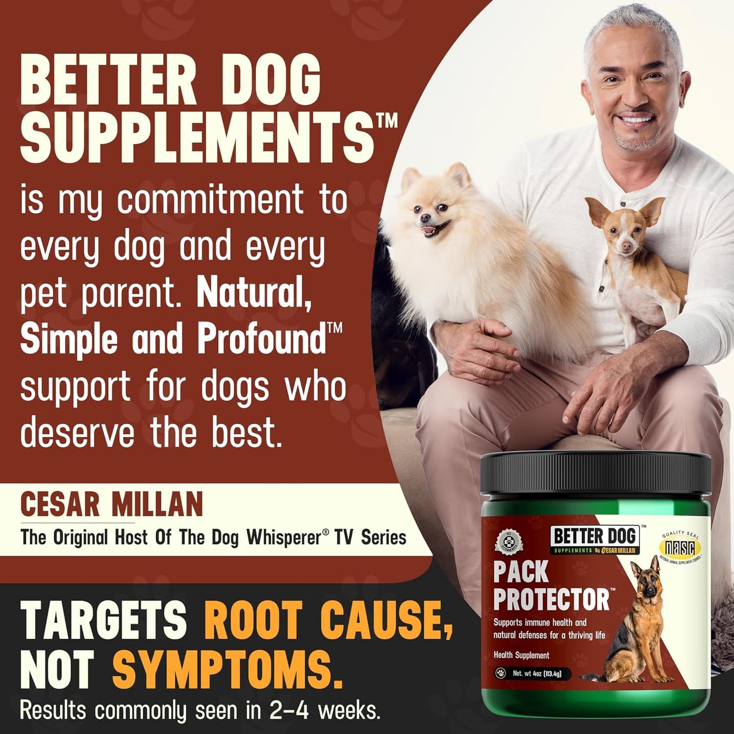 Better Dog Supplements Inner Purity by Cesar Millan – Natural Digestive, Dewormer & Gut Health Powder for Dogs – Internal Cleanliness, Detox & Bowel Movement Support – 3.4oz, (60-Day Supply)