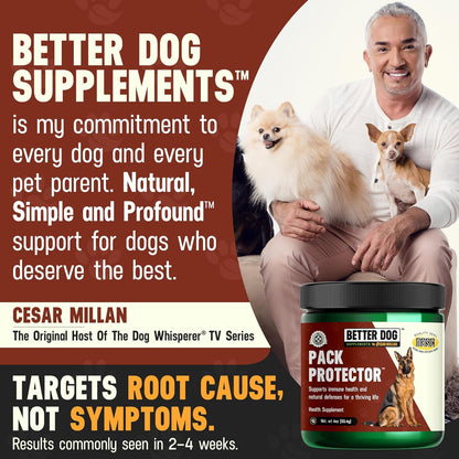 Better Dog Supplements Inner Purity by Cesar Millan – Natural Digestive, Dewormer & Gut Health Powder for Dogs – Internal Cleanliness, Detox & Bowel Movement Support – 3.4oz, (60-Day Supply)