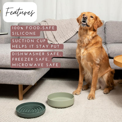 Should We Go? Slow Feeder for Dogs & Puppies, The Slowdown Bowl Silicone Slow Eating, Modern Lick Mat Design, Reduces Gulping, Fits 2.5 Cups, 9.5” Across x 1.5” Tall, Mealtime Challenge, Large-Spruce