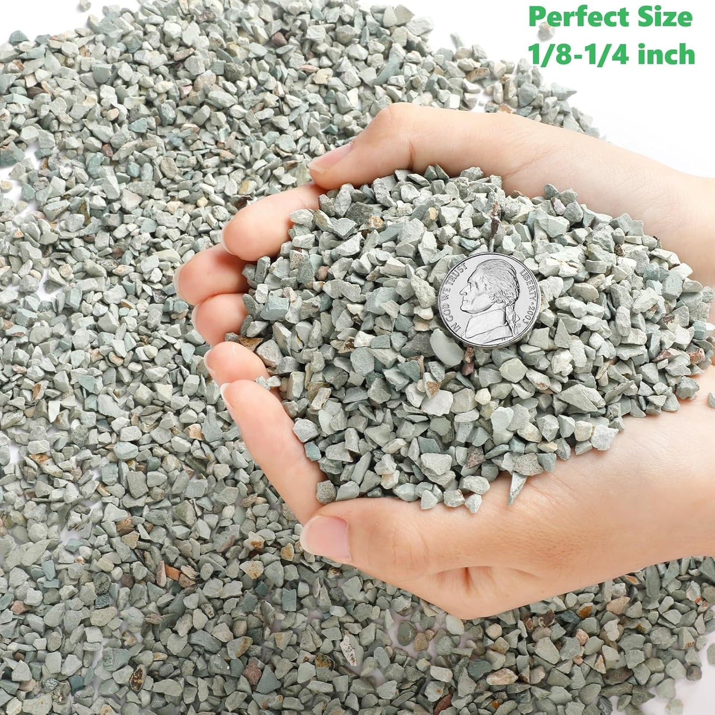 5lb Succulents and Cactus Green Zeolite, Décor & Additive Rocks, Natural Decorative Gravel for Bonsai, Fairy Gardening, DIY Projects, Vases Fillers, Terrarium