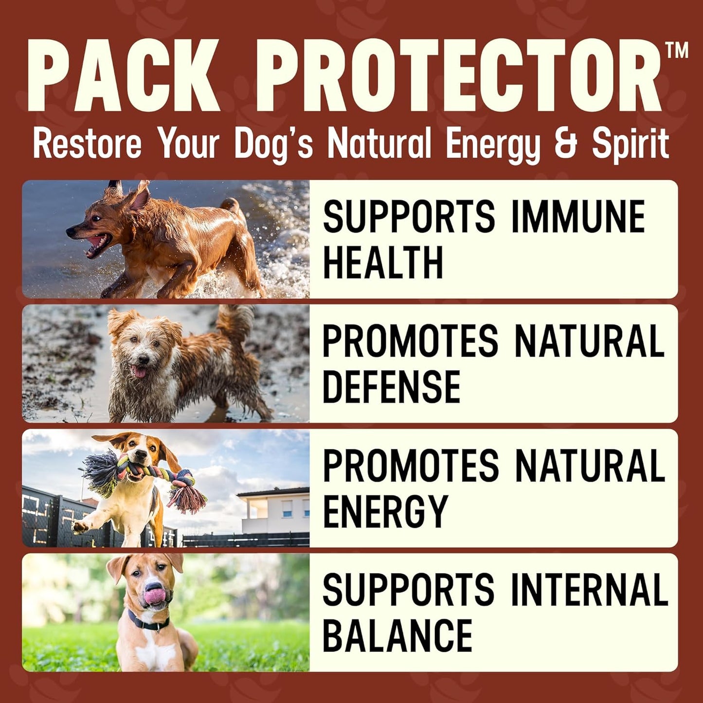 Better Dog Supplements Pack Protector by Cesar Millan – Natural Immune Support Powder for Dogs – Daily Immunity, Vitality & Internal Balance with Herbal Antioxidant Blend – 4oz (60-Day Supply)