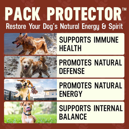 Better Dog Supplements Pack Protector by Cesar Millan – Natural Immune Support Powder for Dogs – Daily Immunity, Vitality & Internal Balance with Herbal Antioxidant Blend – 4oz (60-Day Supply)