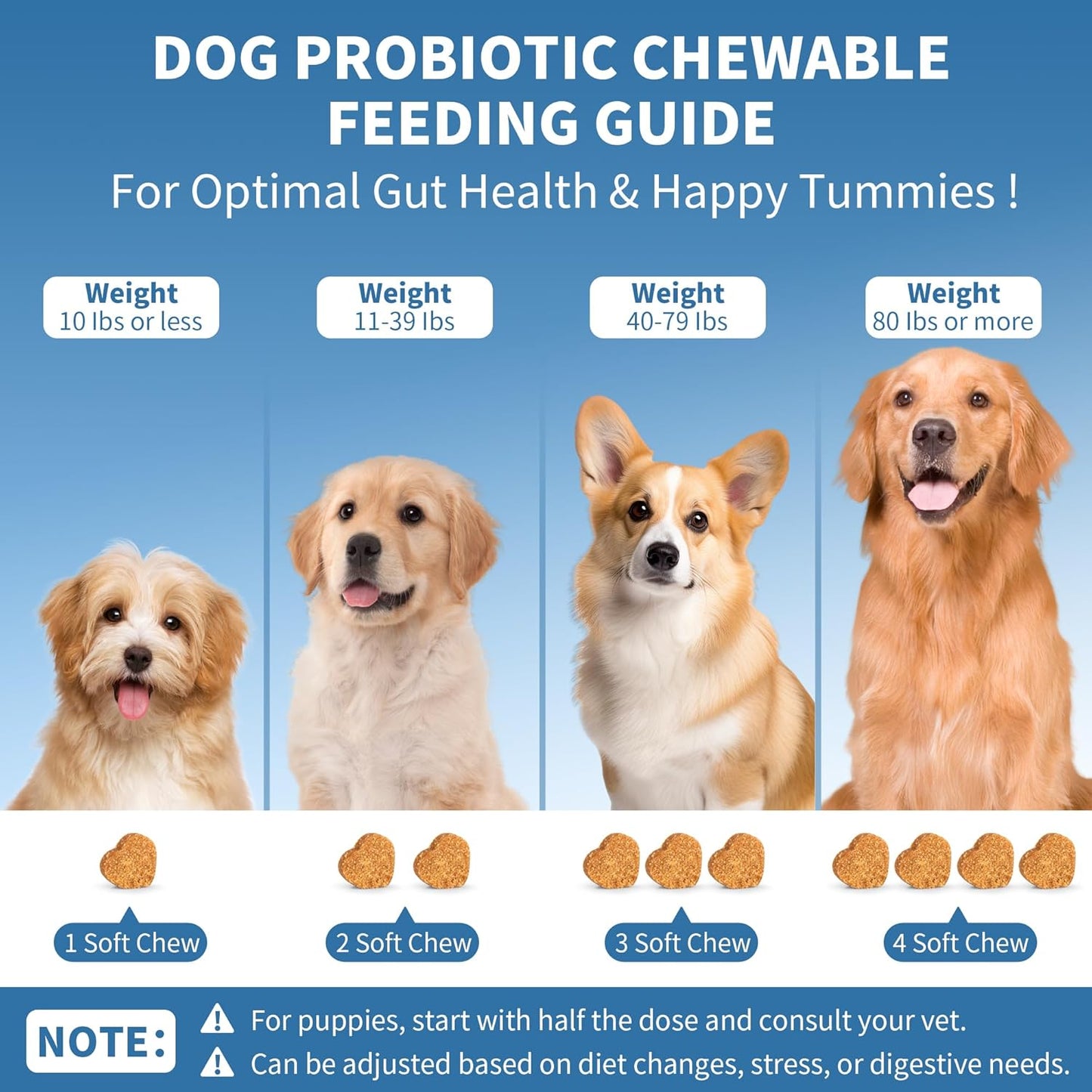 Probiotics for Dogs 200 Chews, Improve Itchy Skin Itchy Ears, Gut Health, Yeast Balance, Allergies, Immunity, Puppy Probiotic Soft Chews Reduce Diarrhea Stomach Relief (Pork)