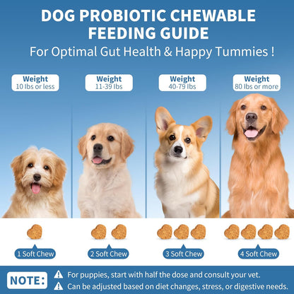 Probiotics for Dogs 200 Chews, Improve Itchy Skin Itchy Ears, Gut Health, Yeast Balance, Allergies, Immunity, Puppy Probiotic Soft Chews Reduce Diarrhea Stomach Relief (Pork)
