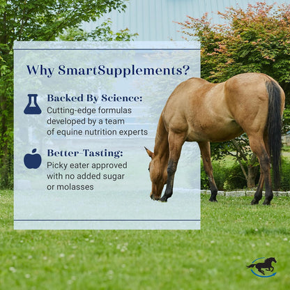 Starter SmartPak | Horse Joint Support | Probiotics, Prebiotics | Essential Vitamins, Minerals, and 5000 mg + SmartDigest Ultra Paste | Digestive Health and Support Horse Supplement | Pack of 6 Tubes