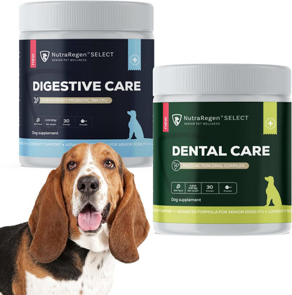 Select Senior Dog Digestive Probiotic Powder and Dental Support Bundle | Pet Dental Powder & Dog Breath Freshener, 7 Bn CFU | 60 Servings, 6.7 oz