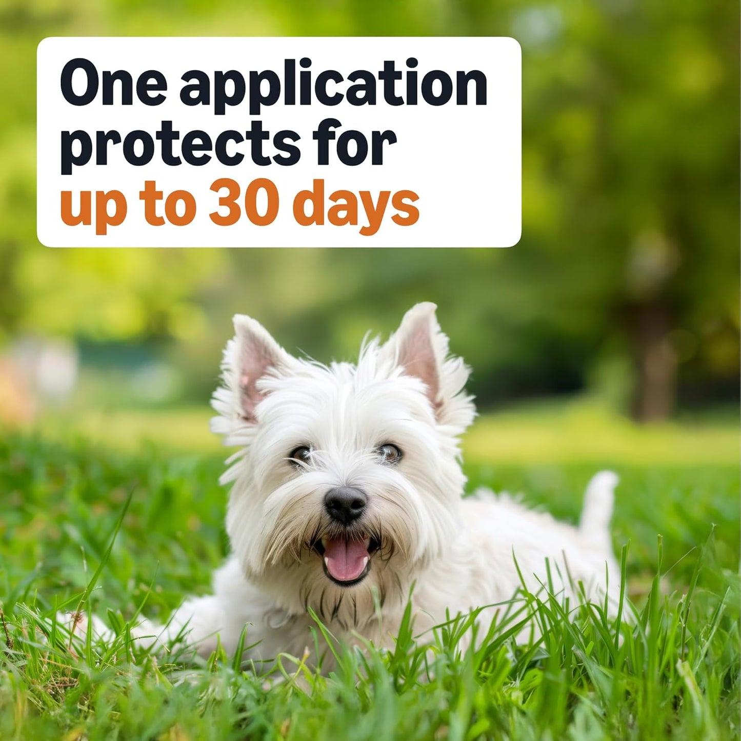 Amazon Basics Flea and Tick Topical Treatment for Dogs, Small (5-22 lbs), Fast Acting and Long Lasting, 3 Counts, Packaging May Vary