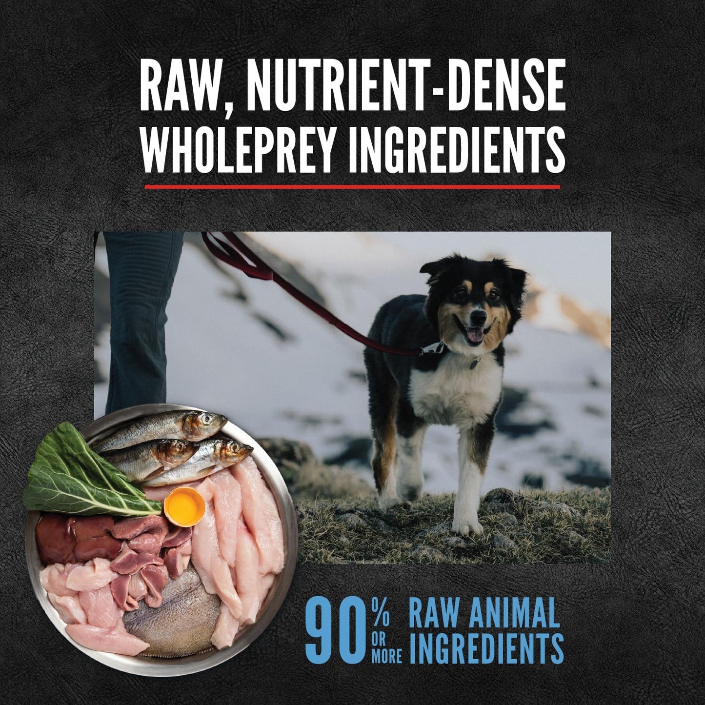 ORIJEN Epic Bites Freeze-Dried Dog Food & Treat Bundle – Original Recipe (6 oz Food + 1.5 oz Treats)