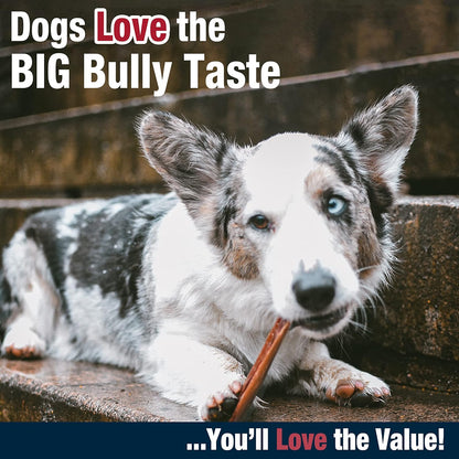 Cadet Bully Hide Sticks for Small Dogs, All-Natural Beef Pizzle, Limited-Ingredient Long-Lasting Dog Chews for Aggressive Chewers, 12 Count