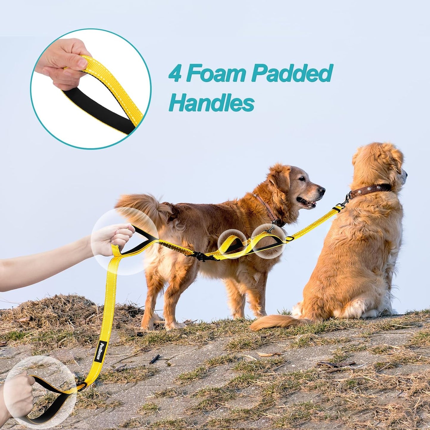 PetBonus No Tangle Double Dog Leash and Dog Seat Belt for Car