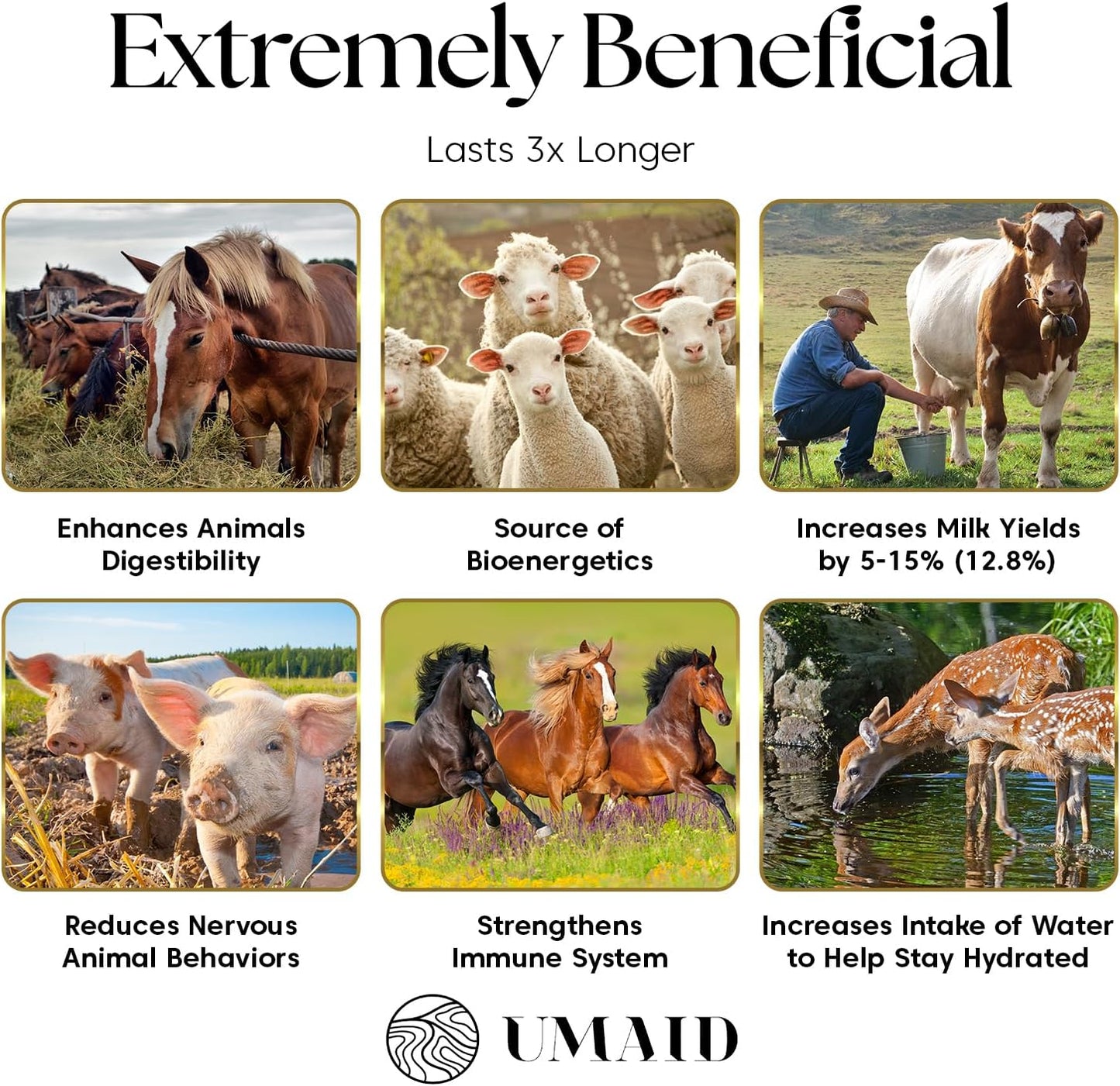 UMAID Himalayan Salt Lick 3 lbs On Rope for Horse, Deer, Goat, and Livestock Animals - Himalayan Salt Block 6 Pack