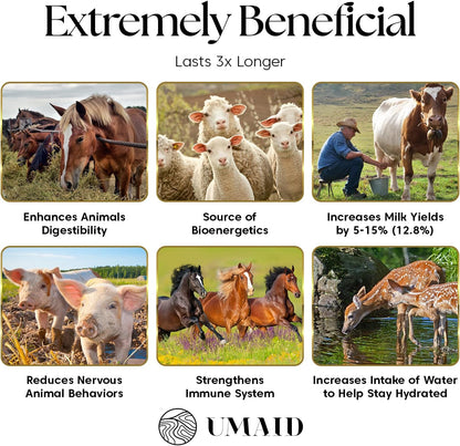 UMAID Himalayan Salt Lick 3 lbs On Rope for Horse, Deer, Goat, and Livestock Animals - Himalayan Salt Block 6 Pack