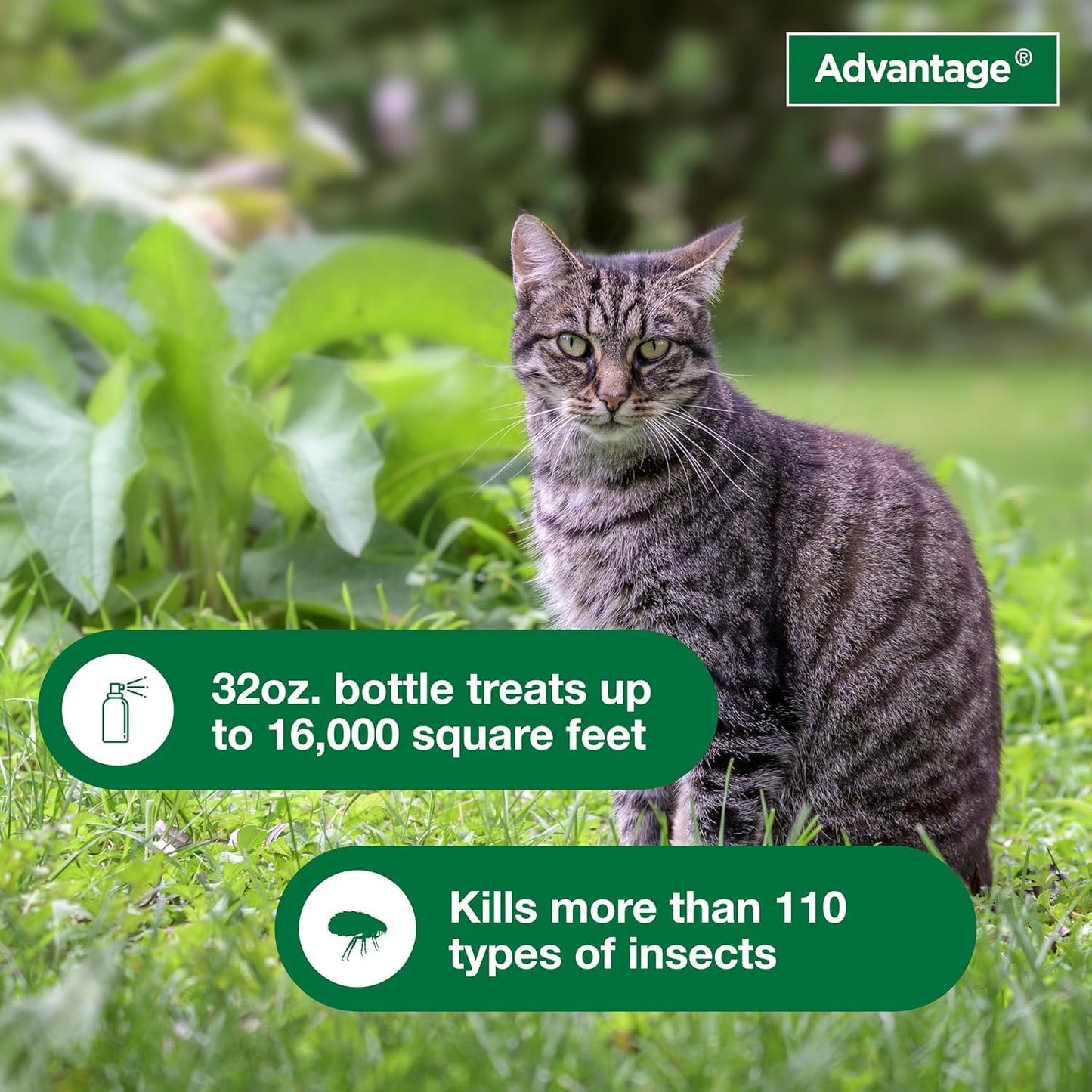 Bundle of Advantage II Vet-Recommended Flea Treatment & Prevention | Cats Over 9 lbs. + Advantage Yard & Premise Spray 32 oz.