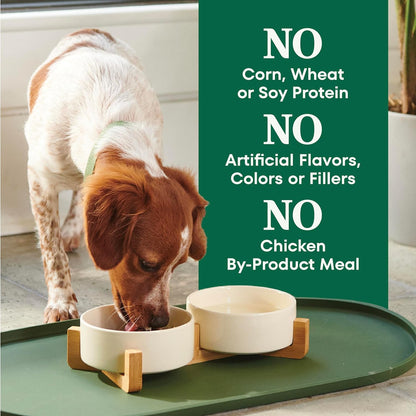 Nutro Natural Choice Adult Small Bites Dog Food, Salmon & Brown Rice Recipe, 28 lb. Bag