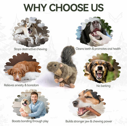 ALL FOR PAWS Classic Squirrel Pet Toys, Small and Orel Rabbit Squeaky Doy Toy Bundle