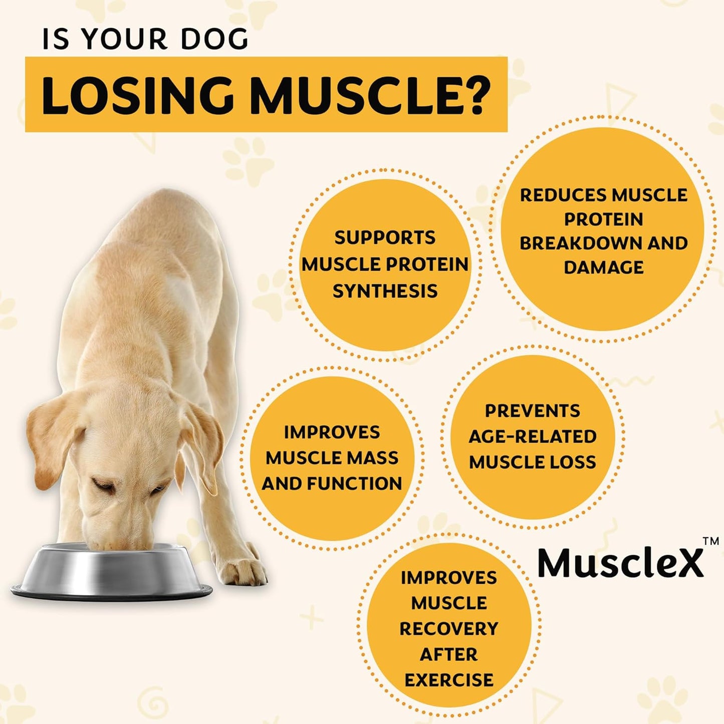 MuscleX™ Canine Muscle Formula Cats & Small Dogs with 300 mg CaHMB & Vitamin D3 - Natural Muscl Building formula - Helps Reduce Muscle Loss Due to Normal Aging & Improves Recovery from Injury(90 Caps)