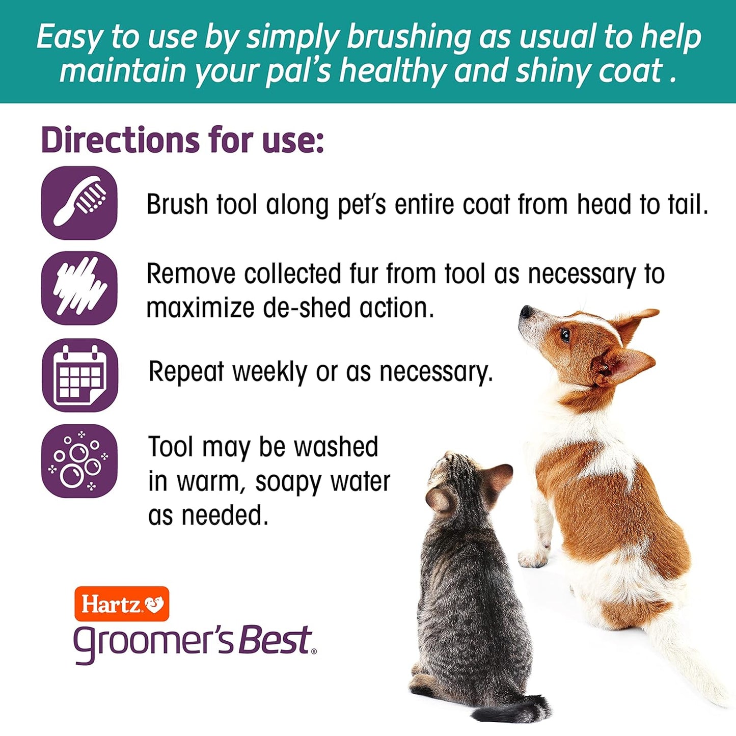 Hartz Groomer's Best Small Slicker Brush for Cats and Small Dogs, Black/Violet, 1 Count