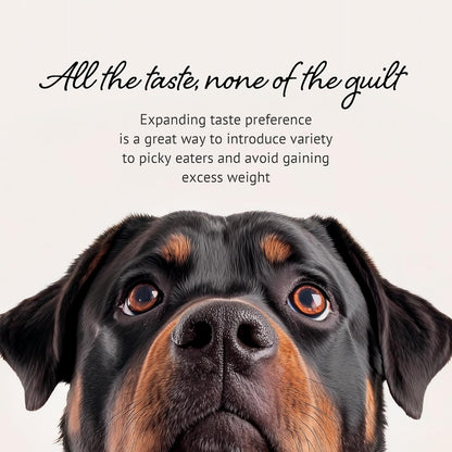 Freeze Dried Raw Dog Food, 100% Camel Meat, Allergy Relief, Monoprotein, Training Treats, Single Ingredient, for Puppies, Adults and Seniors, 3.17 oz Bag (3.17 oz, Pure Camel Meat)