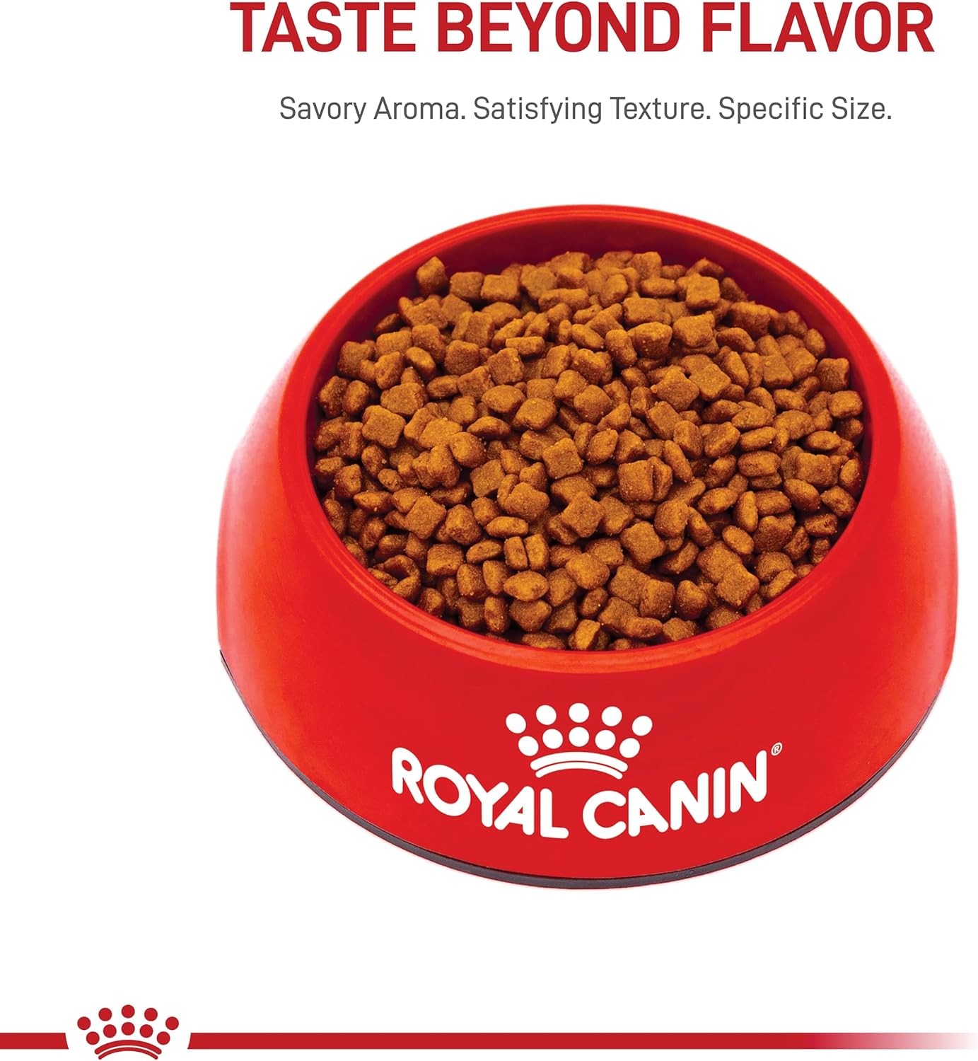 Royal Canin Feline Health Nutrition Mother & Babycat Queen Dry Cat Food, 6 lb Bag