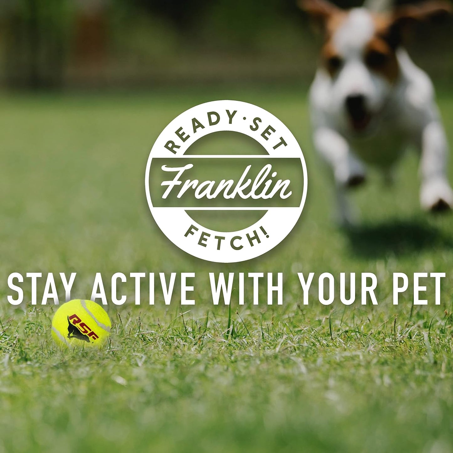 Franklin Pet Supply Co. Mini Tennis Ball Launcher for Dogs - Dog Mini Tennis Ball Thrower Cannon for Fetch + Active Play - Perfect Toy for Small Breeds