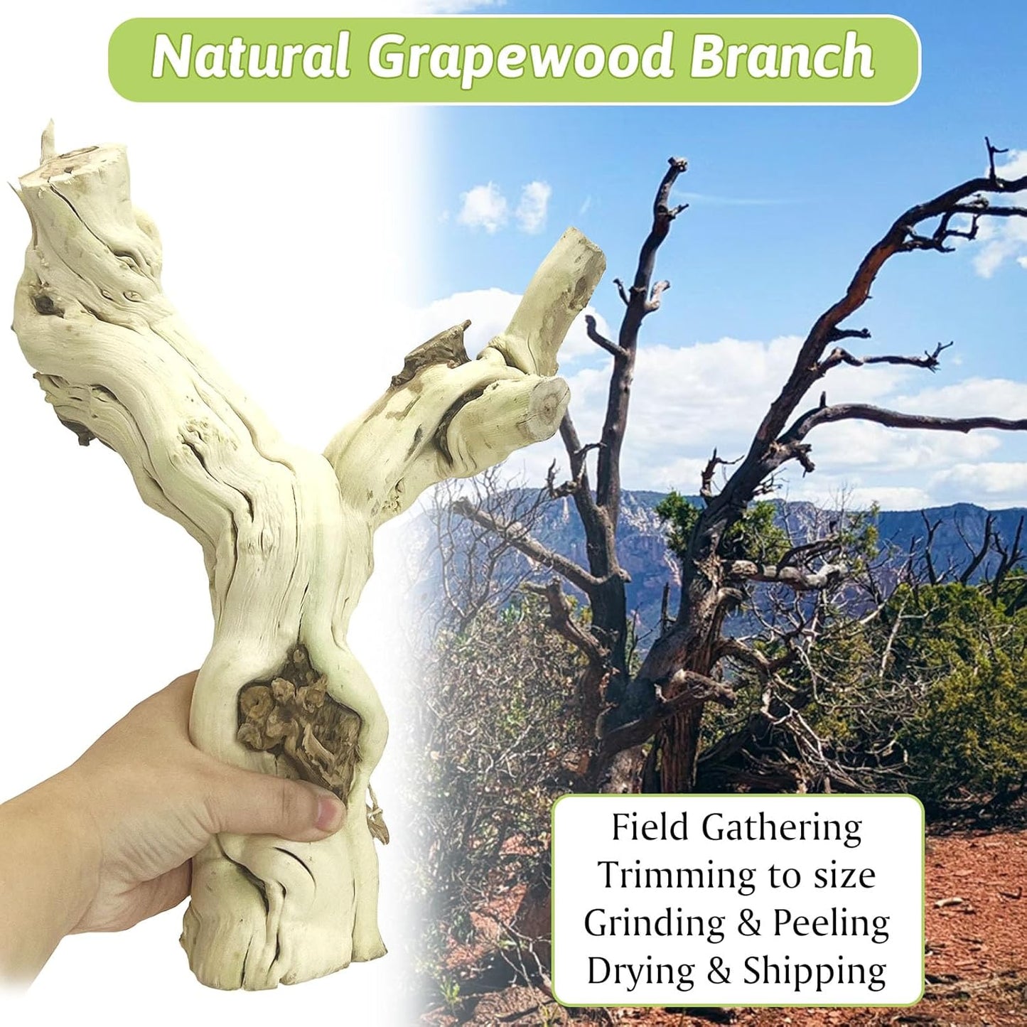 VCEPJH Snake Climbing Branch, 2Pcs Reptile Wood Natural Cork Log and 4 Pcs Reptile Plants, Climbing Wood Branch Terrarium Hanging Fake Plant Leaves for Snake Leopard Gecko Lizard Chameleon