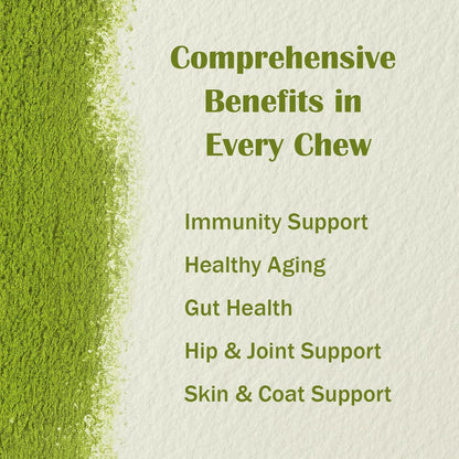 Dog Multivitamin Powder with Chondroitin, Omega 3 & Probiotics - 45-in-1 Daily Vitamins and Supplements for Dogs to Support Joint, Immune System, Digestive Health, Skin & Coat - 8.8 oz