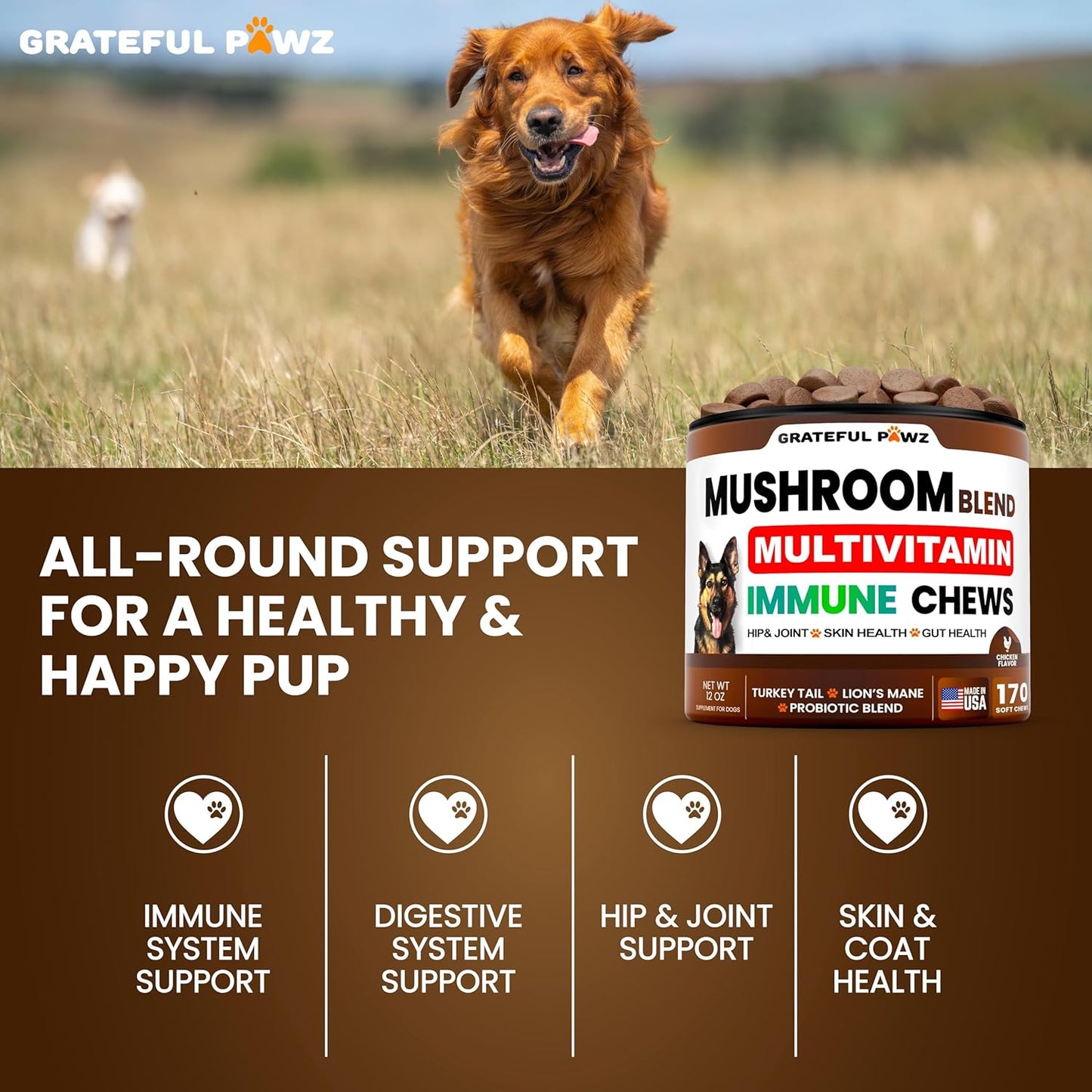 Turkey Tail Mushroom Supplement for Dogs - 170 Chews - Mushrooms for Dogs - Reishi, Lion’s Mane, Glucosamine Multivitamin - Immune Booster, Gut, Hip & Joint Health Support Vitamins, Energy & Skin