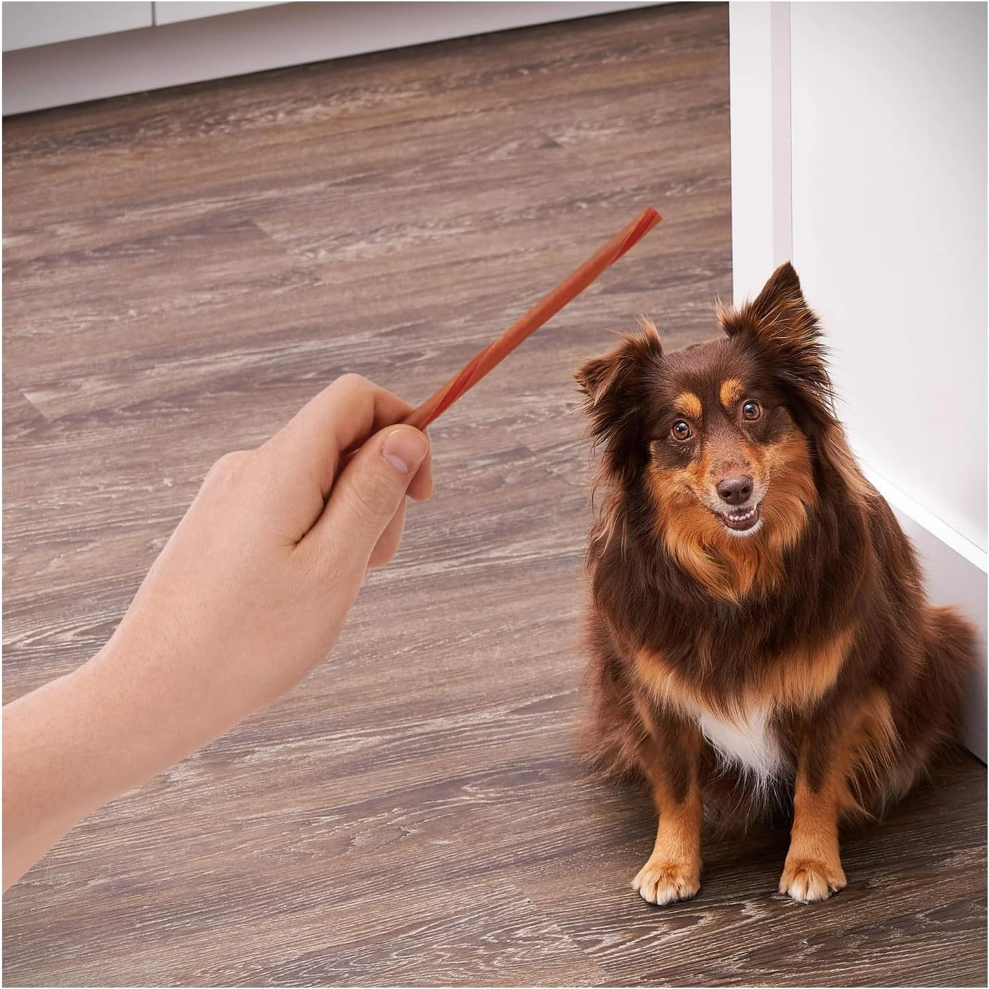 Rawhide-Free Peanut Butter Flavor Twist Sticks for Dogs, 50 Count, 9.7 oz Resealable Bag, Long-Lasting Chews, Highly Digestible, Helps Clean Teeth & Gums, Ideal for Small, Medium & Large Adult Dogs