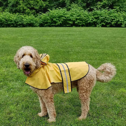 SPOT Rainy Days Slicker - Yellow Dog Rain Jacket With Hood, Reflective Strip for Safety, Leash Hole & Adjustable Velcro Belly Strap, 100% Polyester Water Resistant Pet Raincoat - Medium, 13in Long
