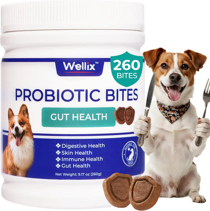 260 Bites Wellix Probiotics for Dogs - Dog Probiotics and Prebiotics with Pumkin - Improve Digestive Health, Allergies and Itchy Skin Relief Natural Gut Health Supplements for Small Medium Senior Dog