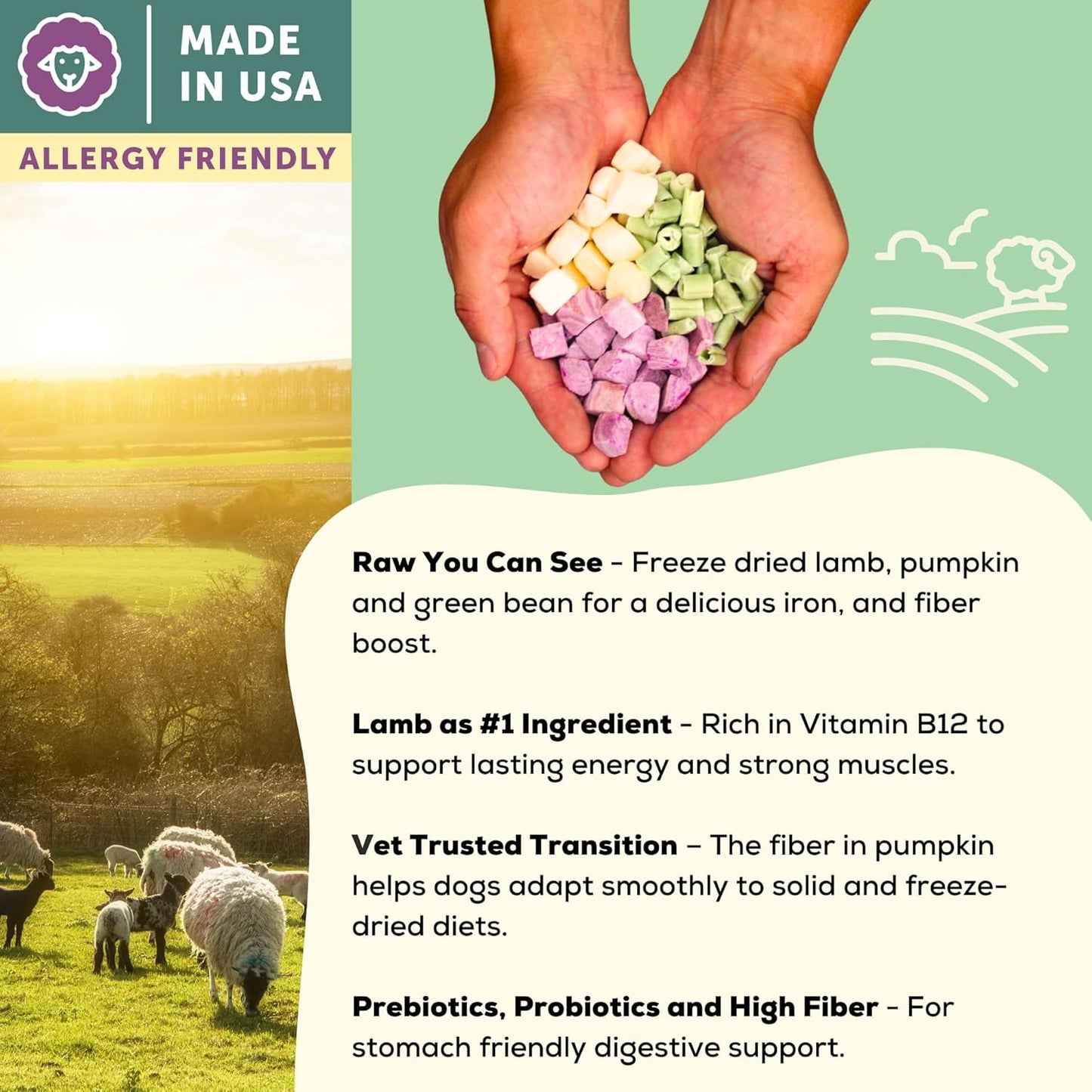 A Better Treat | Allergy Friendly Lamb Dry Dog Food | Raw You Can See | No Chicken, Lamb Only Animal Protein, No Meal Ingredients, Grain Free | Stomach Soothing Kibble + Freeze Dried Raw Dog Food
