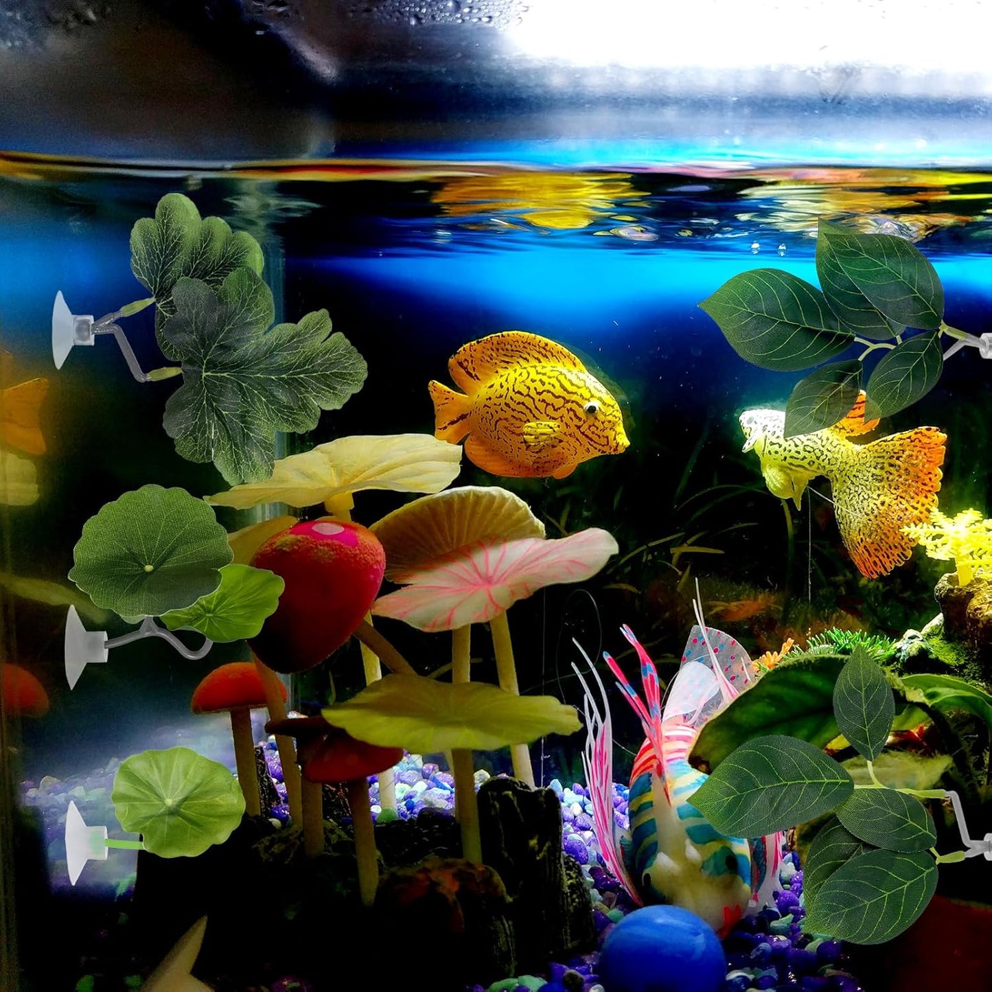 6 PCS Betta Fish Hammock Betta Leaf Aquarium Décor Simulating the Natural Habitat Fish Tank Accessories Multi Leaf Design with Suction Cup for Sleeping Resting Hiding Playing Breeding(Various Shapes)