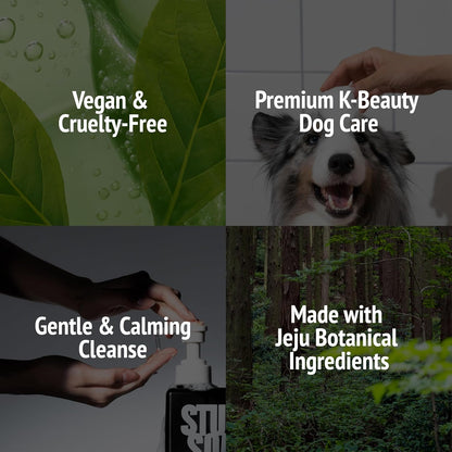Vegan Dog Shampoo Premium K-Beauty Inspired Gentle Dog Shampoo for Sensitive Skin with Green Tea, Camellia Oil & Centella Asiatica, Elegantly Scented, Natural Pet Wash (Blush Garden)