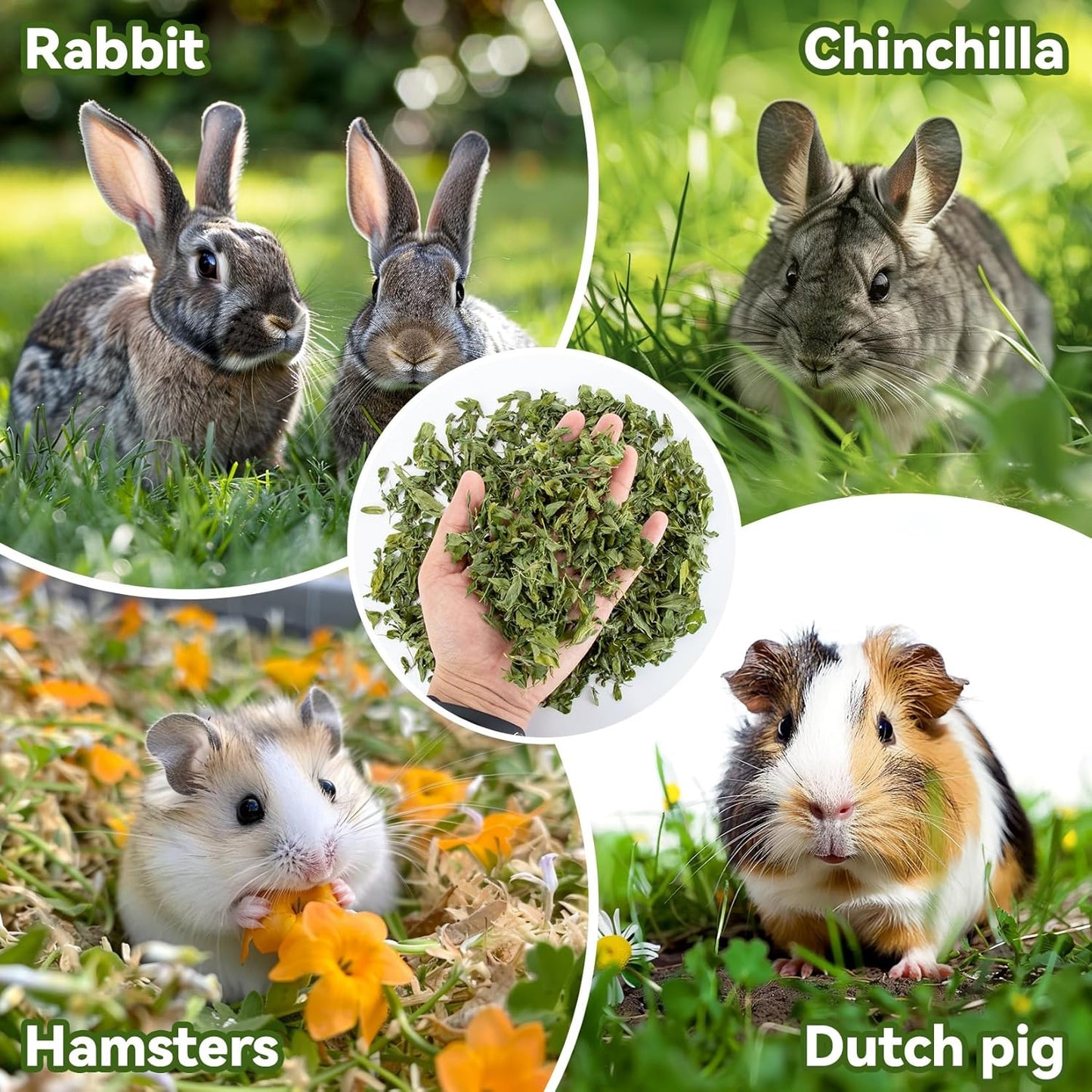 MAQIHAN Natural Alfalfa Hay for Rabbits - Dried Organic Chinchilla Guinea Pig Tender Hay for Young, Pregnant or Nursing Small Pets for Rabbit Food for Small Animals 7.58 oz