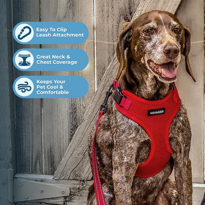 Best Pet Supplies Voyager Step-in Lock Pet Harness w Reflective Pet Leash Combo Set with Neoprene Handle 5ft - Supports Small, Medium and Large Breed Puppies/Cats - Red Set, XL
