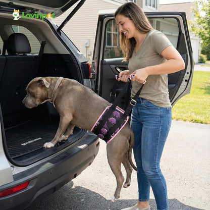 LovinPet Adjustable Dog Lift Harness for Medium & Large Breeds, 3-Layer Rear Support Sling with Padded Handles, Quiet Hook-and-Loop, Easy-On for Senior & Injured Pets – Dinosaur Print, Black Pink