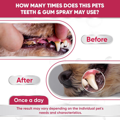 Dental Spray for Pets – Cat & Dog Breath Freshener That Helps with Tartar, Plaque, & Bad Odor – Silver 50 PPM + Valerian Flavour for Dog Teeth Cleaning – 4 Oz